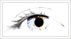 Lentilles