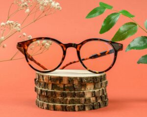monture lunettes