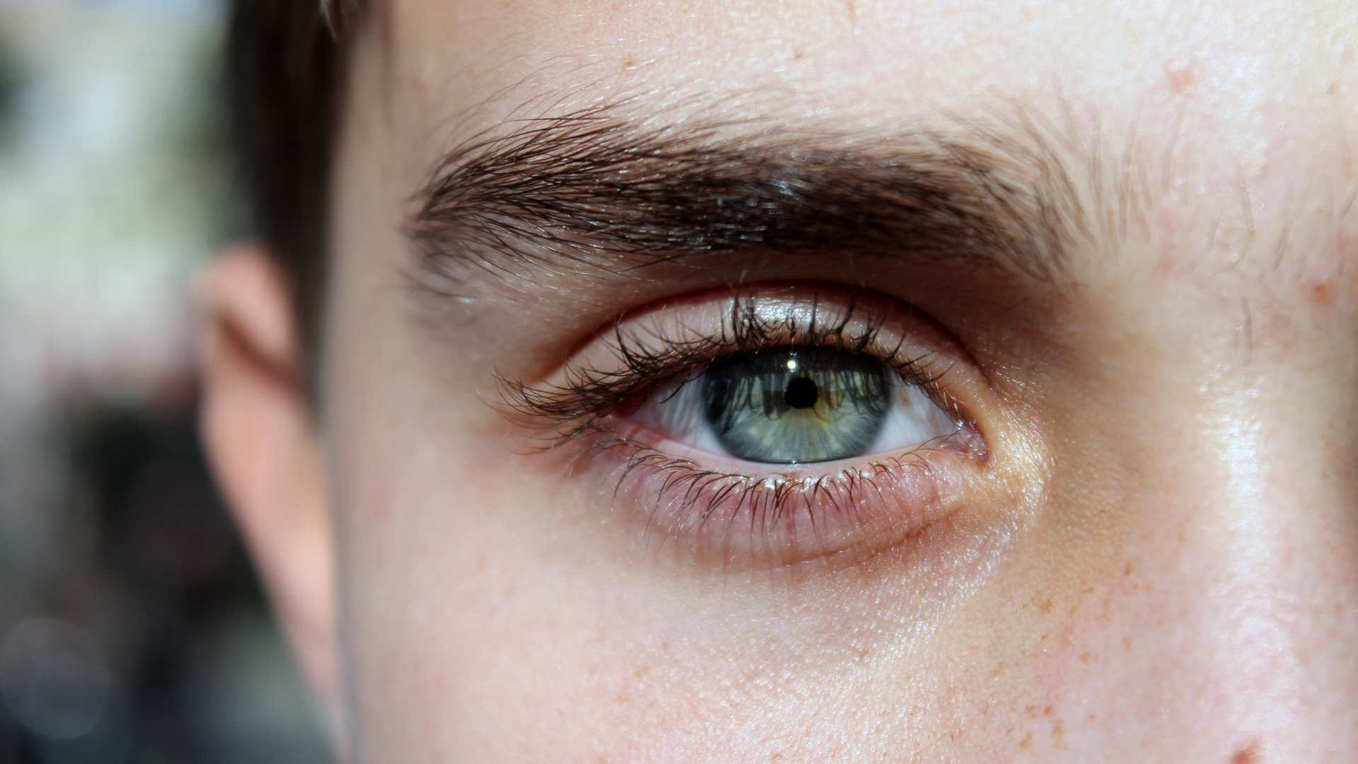 Yeux bleu d'un homme